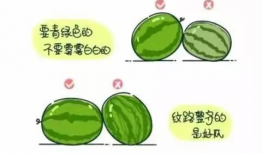 娱乐圈吃瓜的正确方法,轻松解锁明星八卦的正确姿势